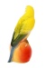 Скульптура Волнистый попугайчик Яшка